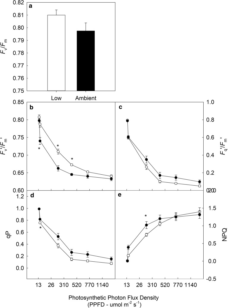 Fig. 7