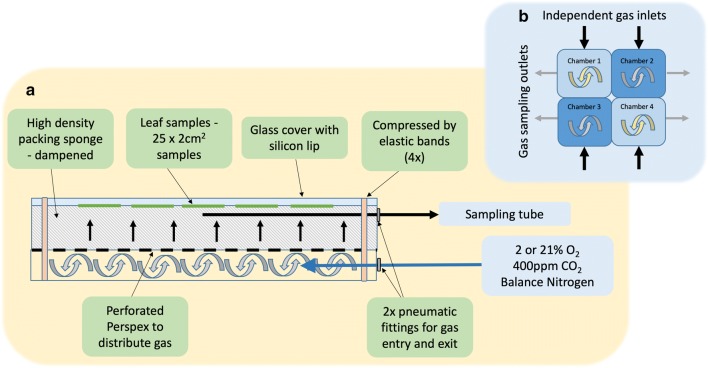 Fig. 2