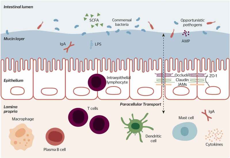 Figure 1.