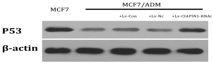 Figure 10