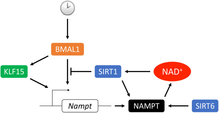 FIGURE 3