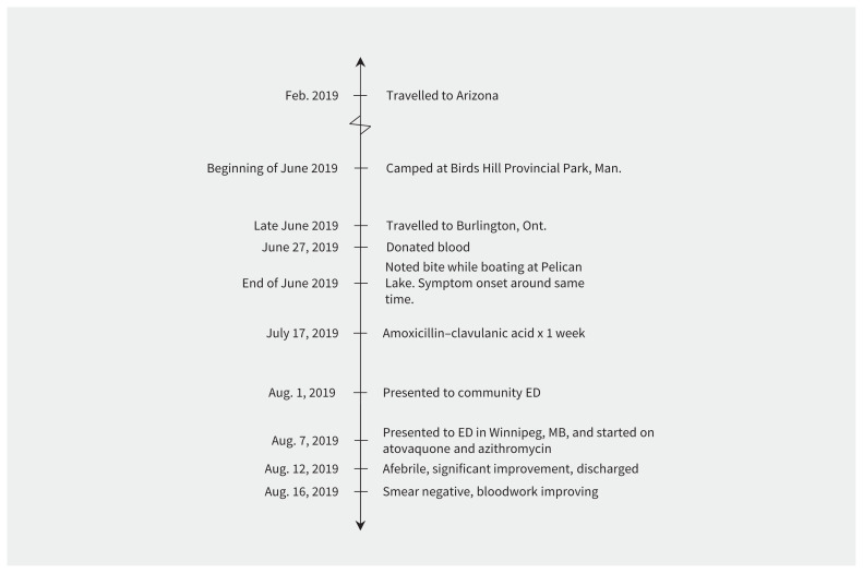 Figure 1: