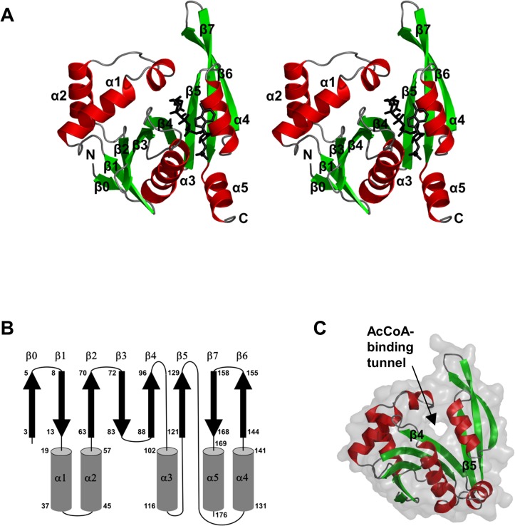 Fig 2