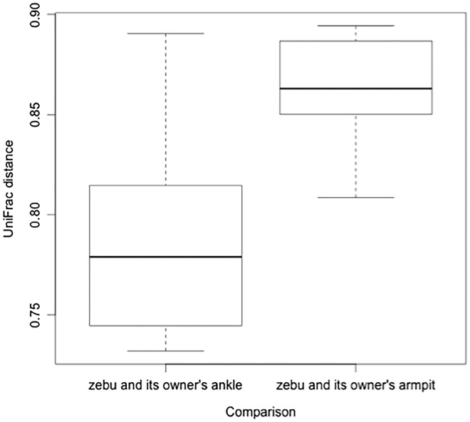 Figure 5.