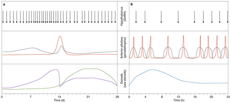 Fig. 2: