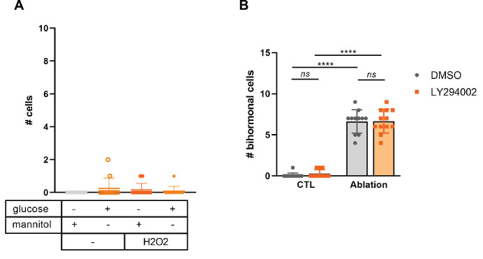 Figure 6—figure supplement 2.