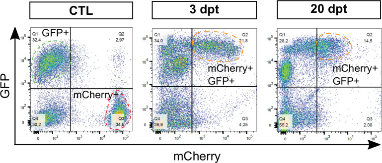 Figure 1—figure supplement 2.