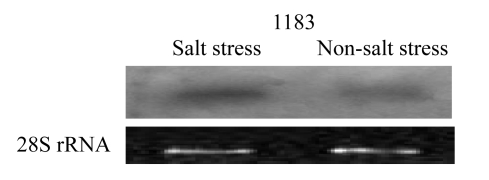 Fig.2