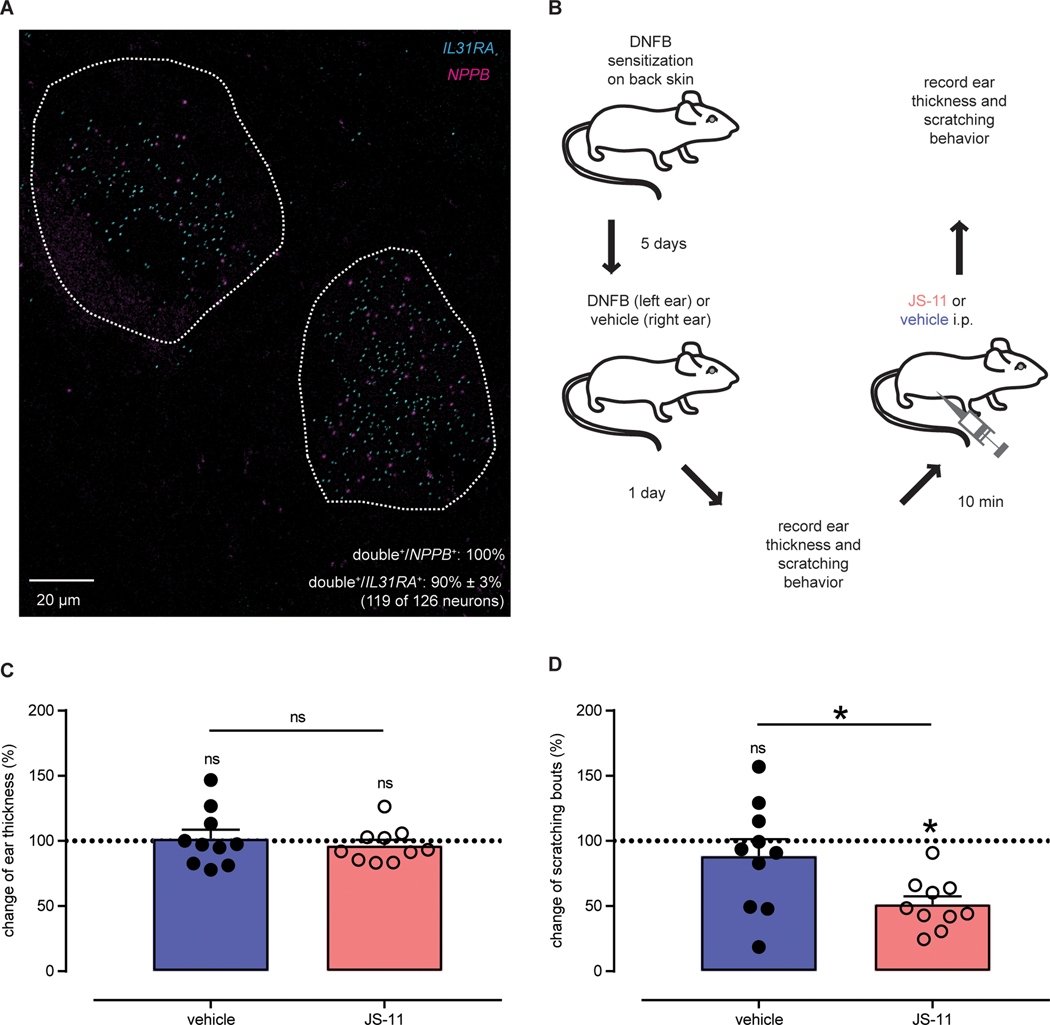 Fig. 8: