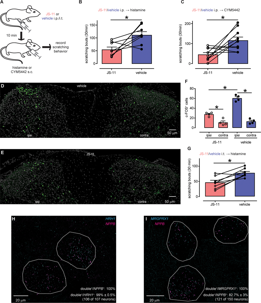 Fig. 7: