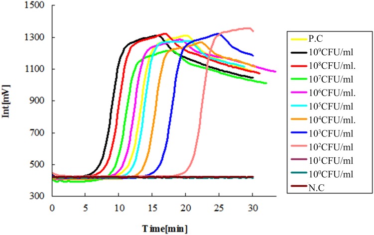 FIGURE 1