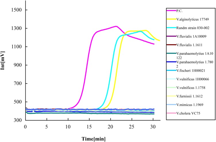 FIGURE 3