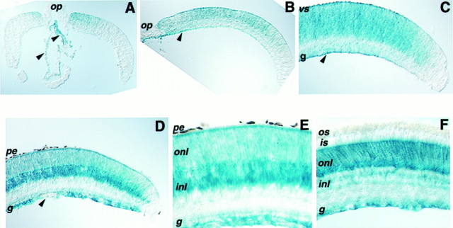 Fig. 3.