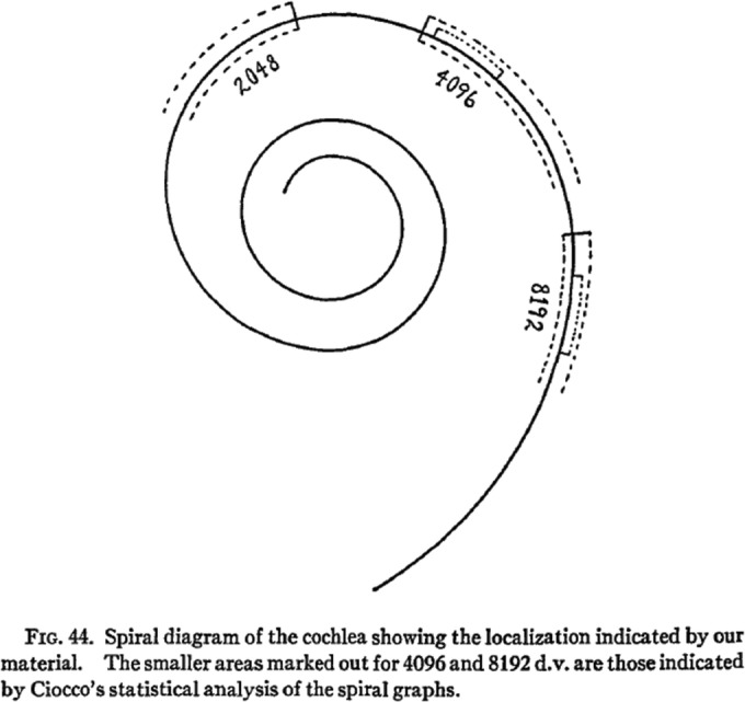 Fig. 11