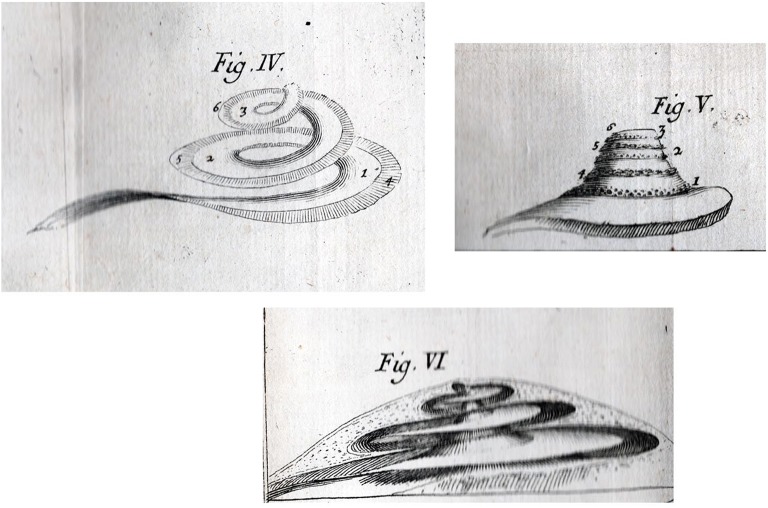 Fig. 4