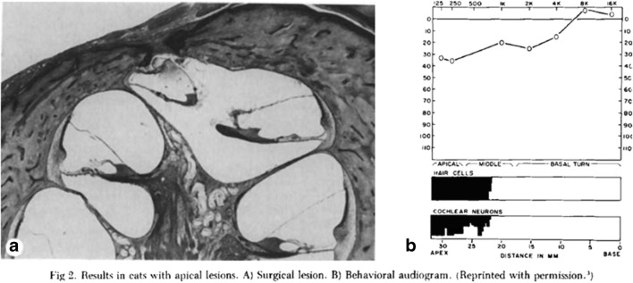 Fig. 12