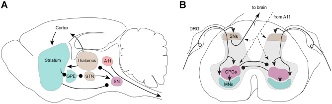 Fig. 5