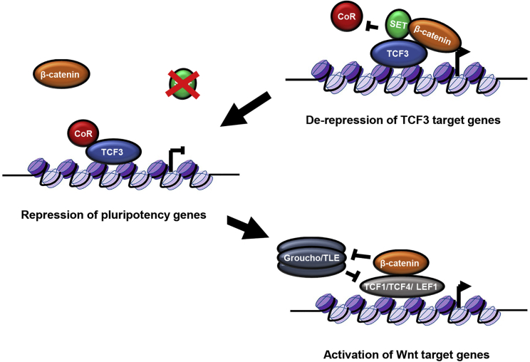 Figure 6