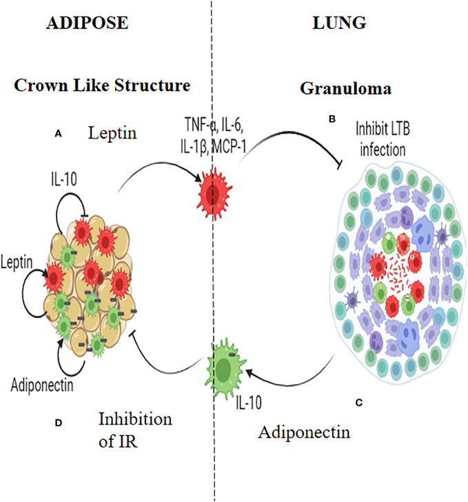 Figure 2