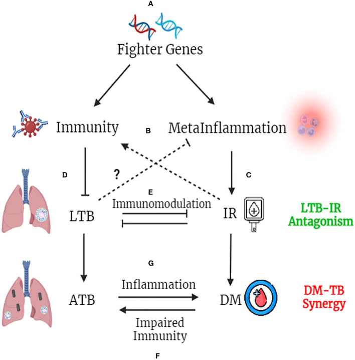 Figure 4
