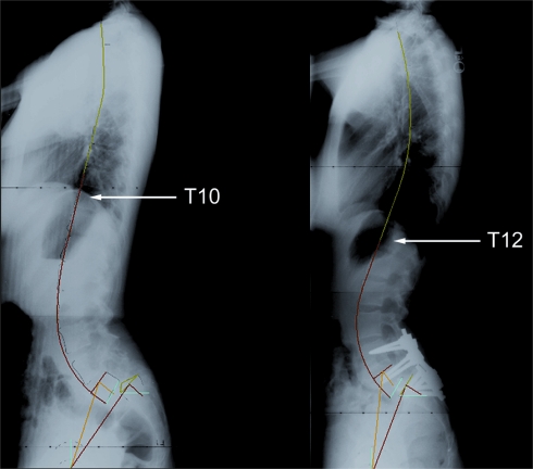 Fig. 3