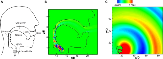 Figure 11