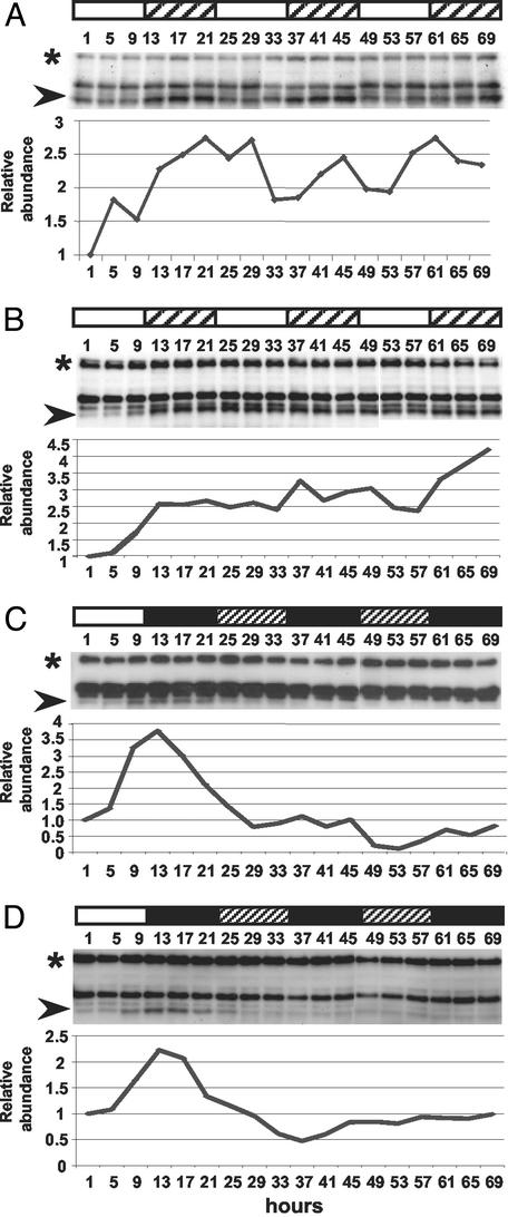 Fig 4.