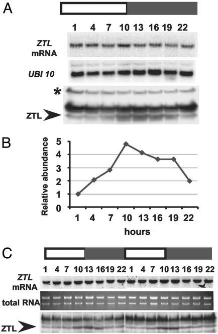 Fig 3.