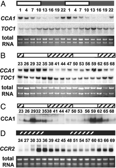 Fig 1.