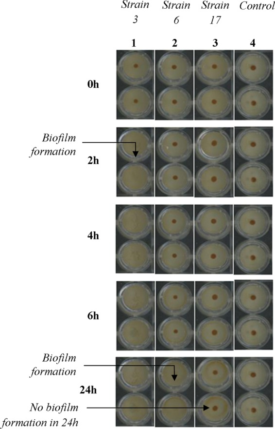 FIG 1