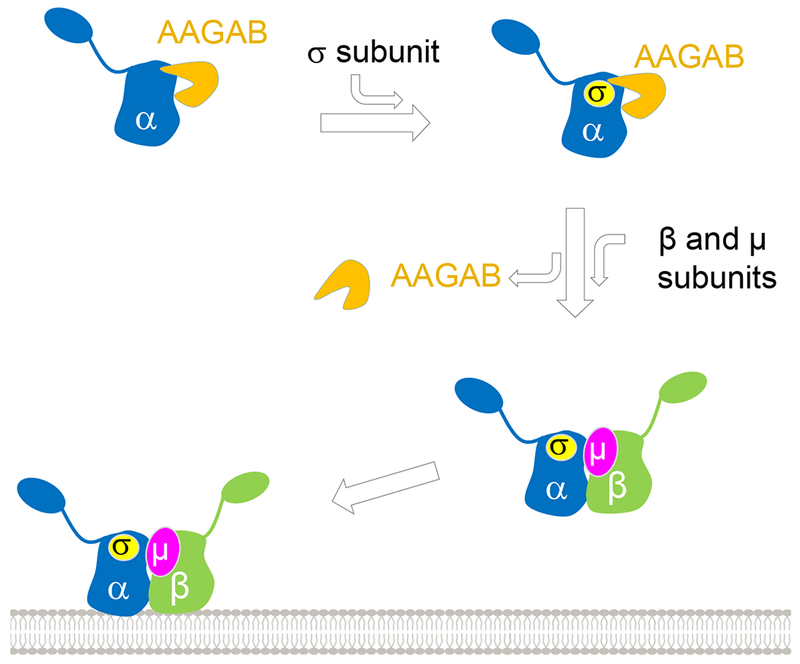 Figure 7.