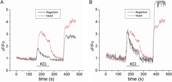 FIGURE 1.