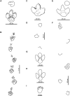 Fig 7