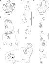 Fig 8