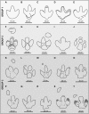 Fig 5