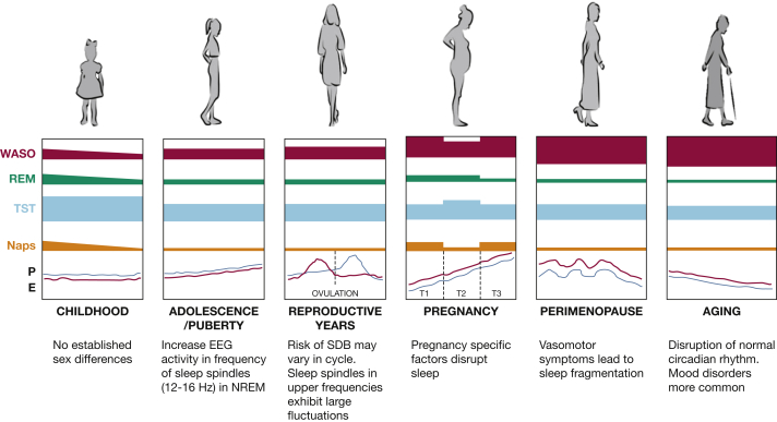 Figure 1