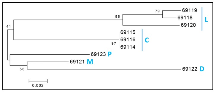 Figure 5