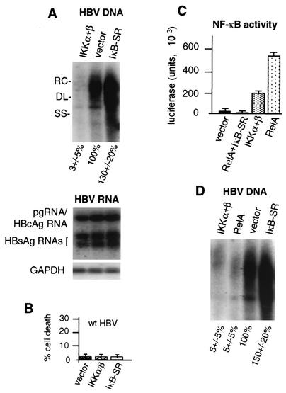 FIG. 5.