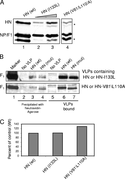 FIG. 6.