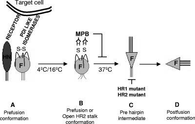 FIG. 7.