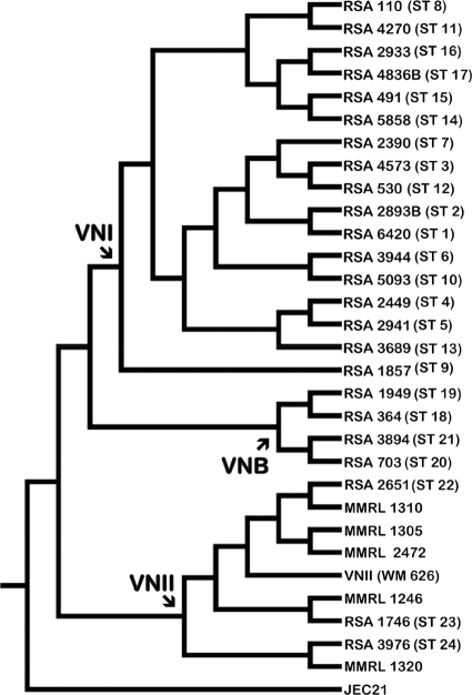 FIG. 1.