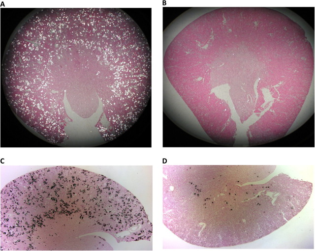 Fig. 7