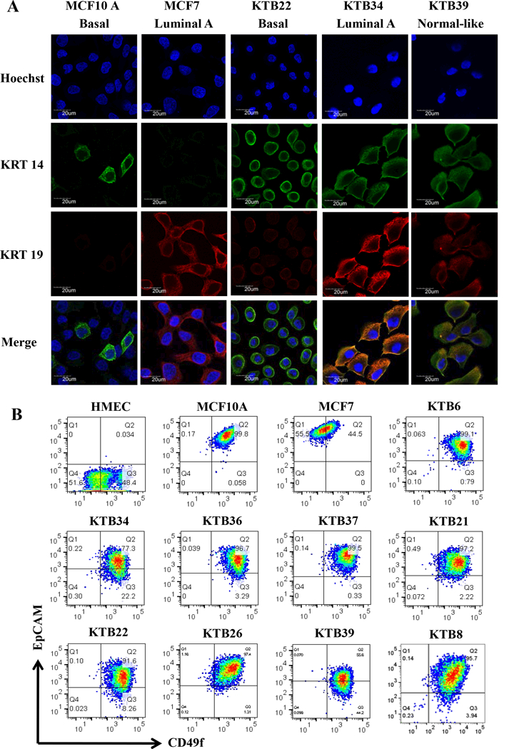 Figure 3: