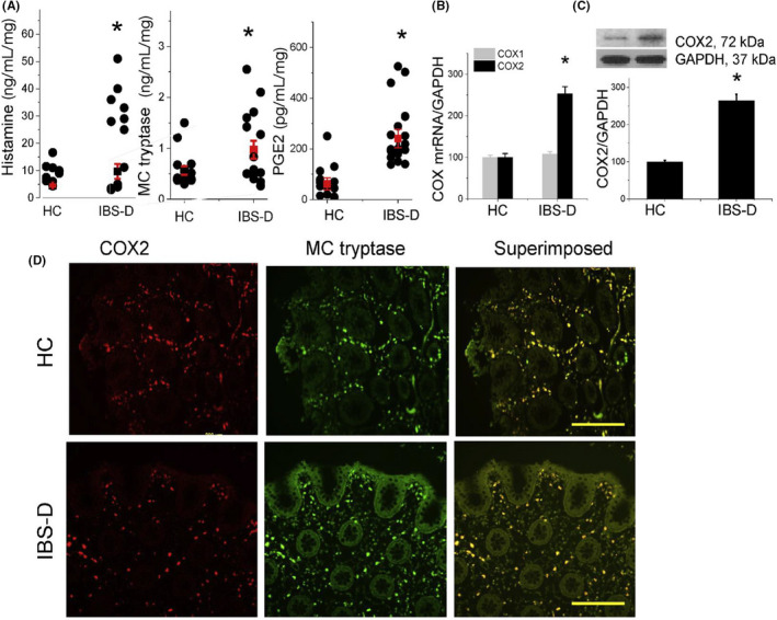 FIGURE 2