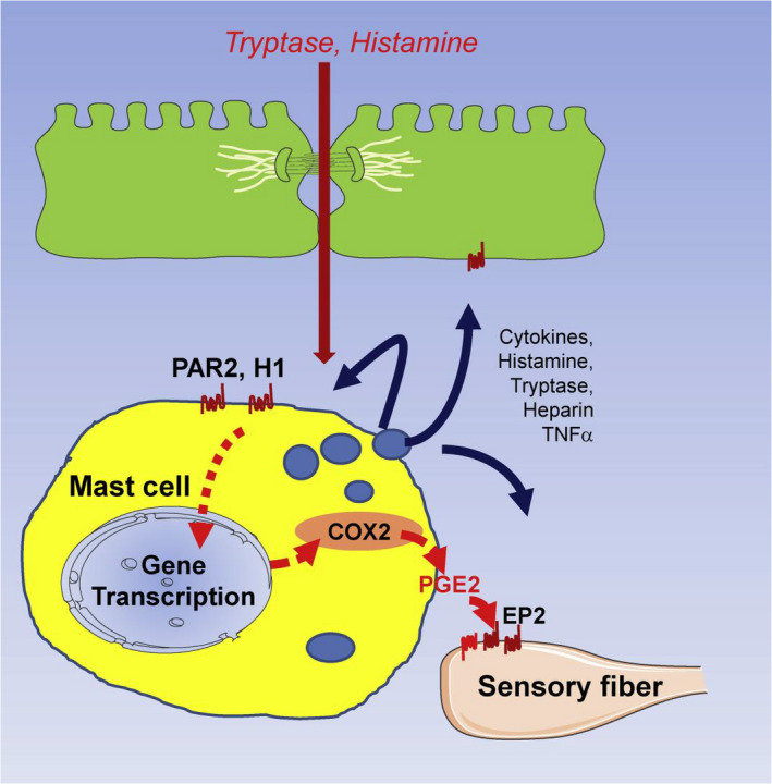 FIGURE 3