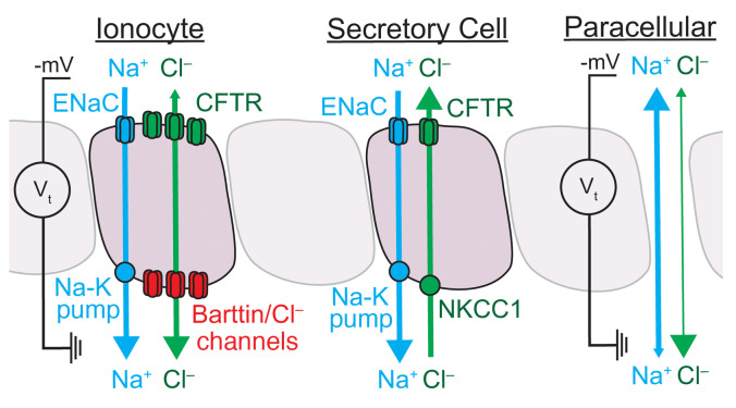 Figure 9