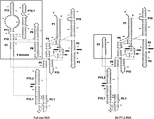 FIGURE 1.