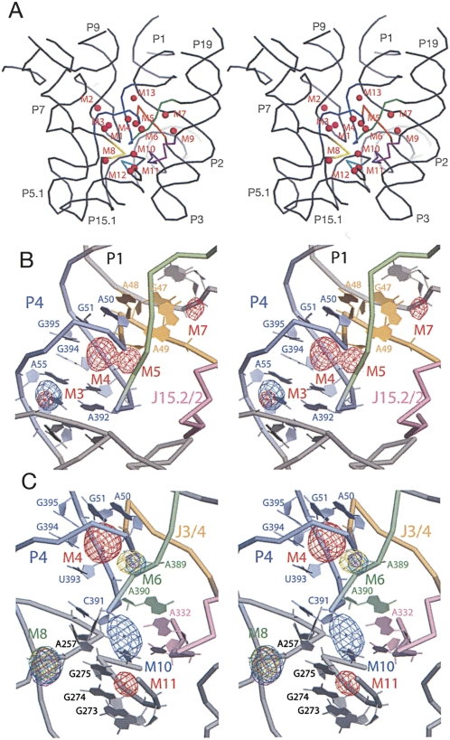 FIGURE 4.