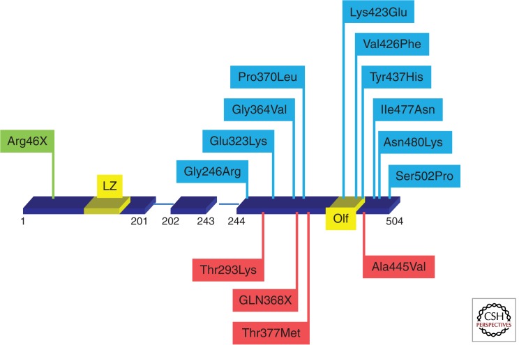 Figure 2.