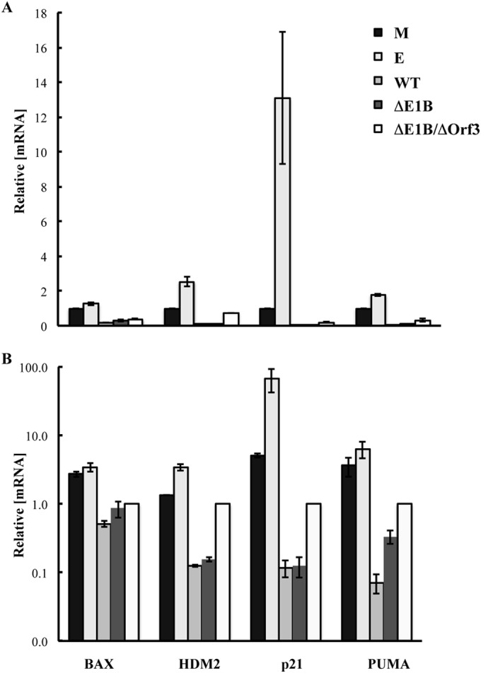 FIG 6